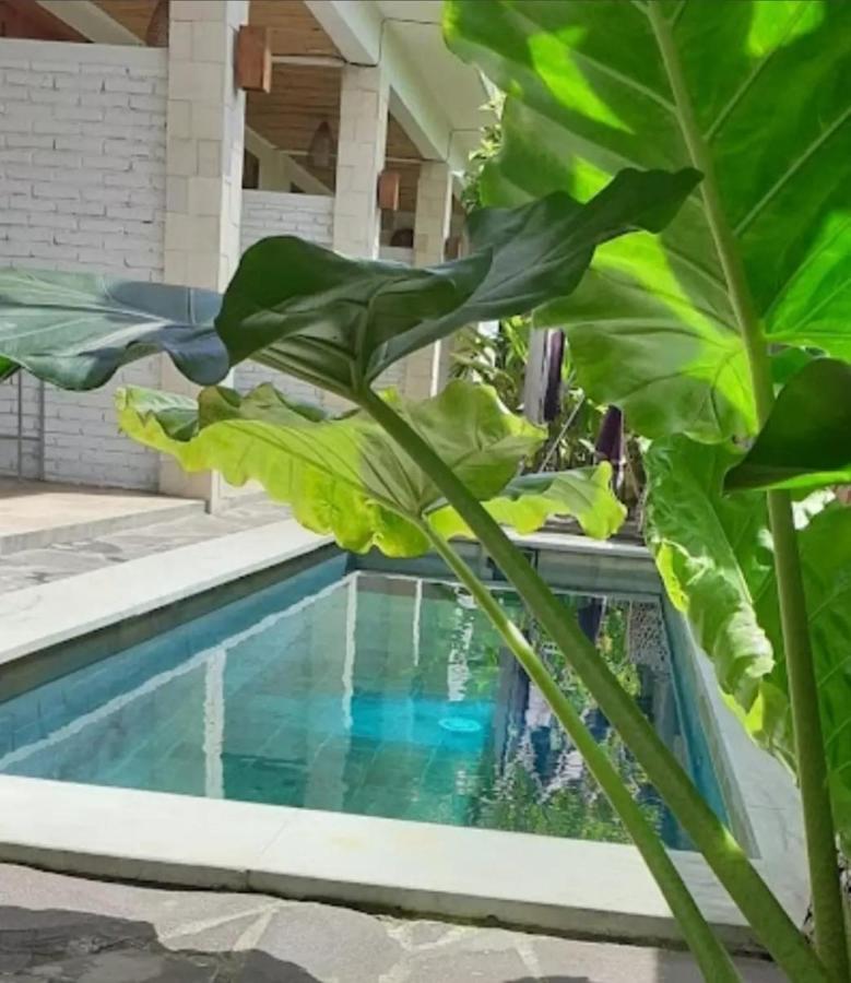 Surya Lombok Accommodation Selong Belanak Kültér fotó