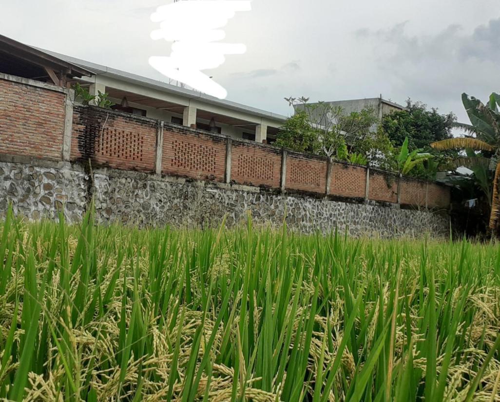 Surya Lombok Accommodation Selong Belanak Kültér fotó